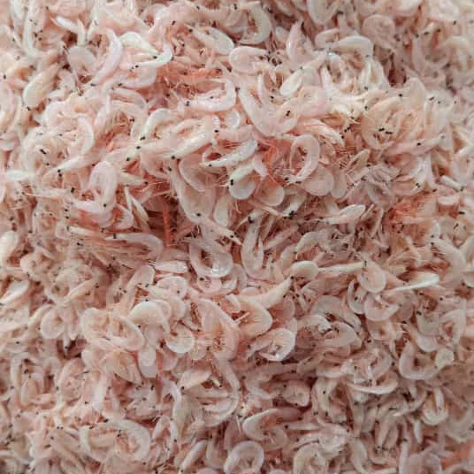 Udang Rebon Asin Kemasan Vakum 100-500 Gram 3