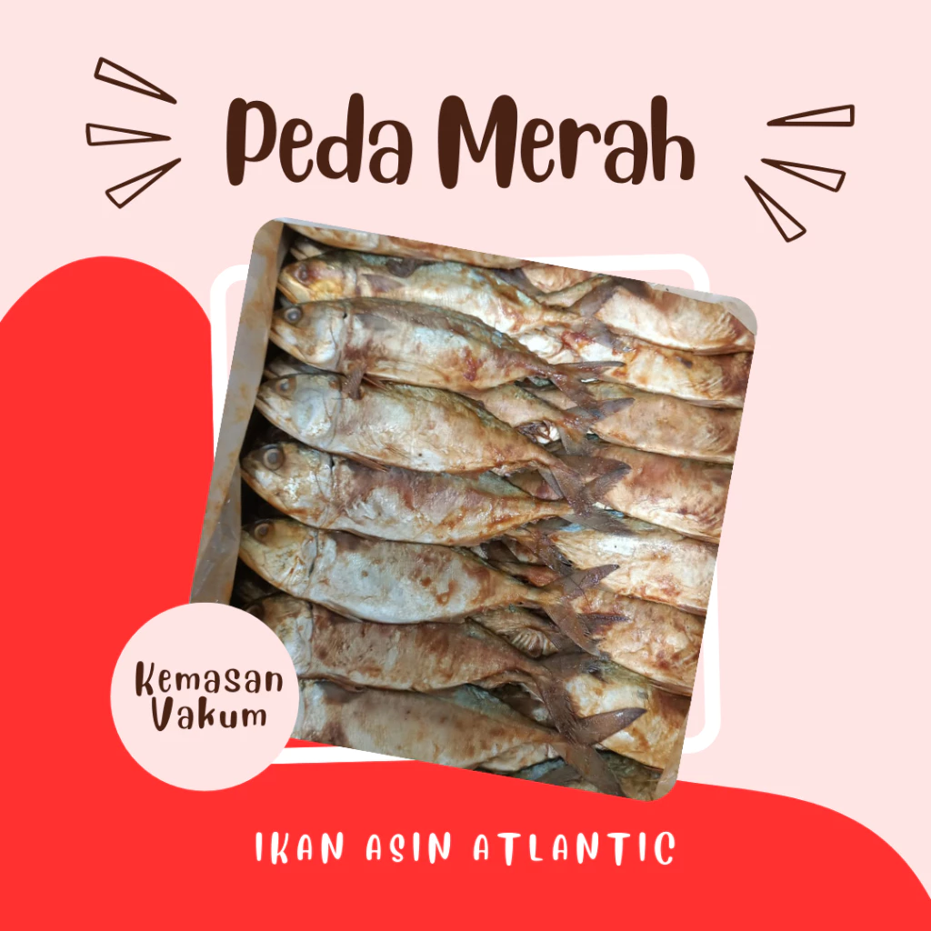 Ikan Asin Peda Kemasan Vakum 250 - 500 Gram 4
