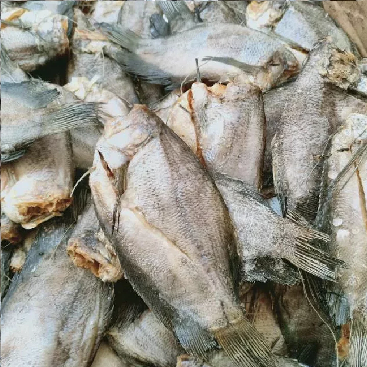 Ikan Asin Sepat Tembakang 100-500 Gram Kemasan Vakum Kering 3