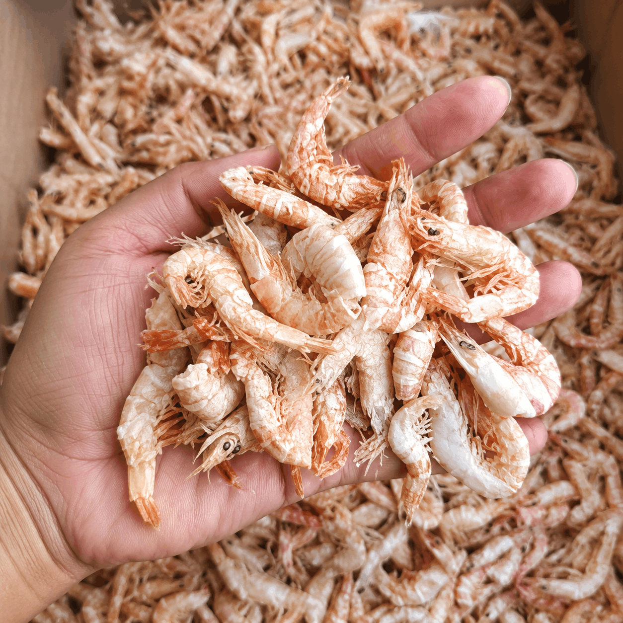 Udang Asin