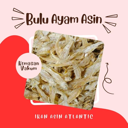 Ikan Asin Bulu Ayam Asin Kemasan Vakum 100-500 Gram